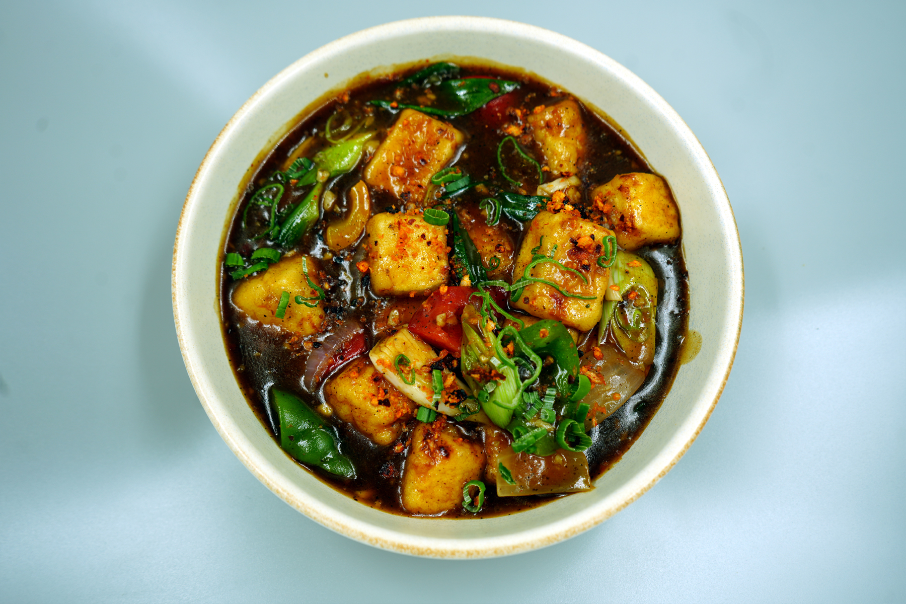Hong kong style paneer 2